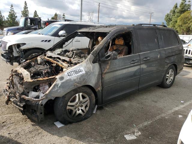 HONDA ODYSSEY EX 2005 5fnrl38755b002675