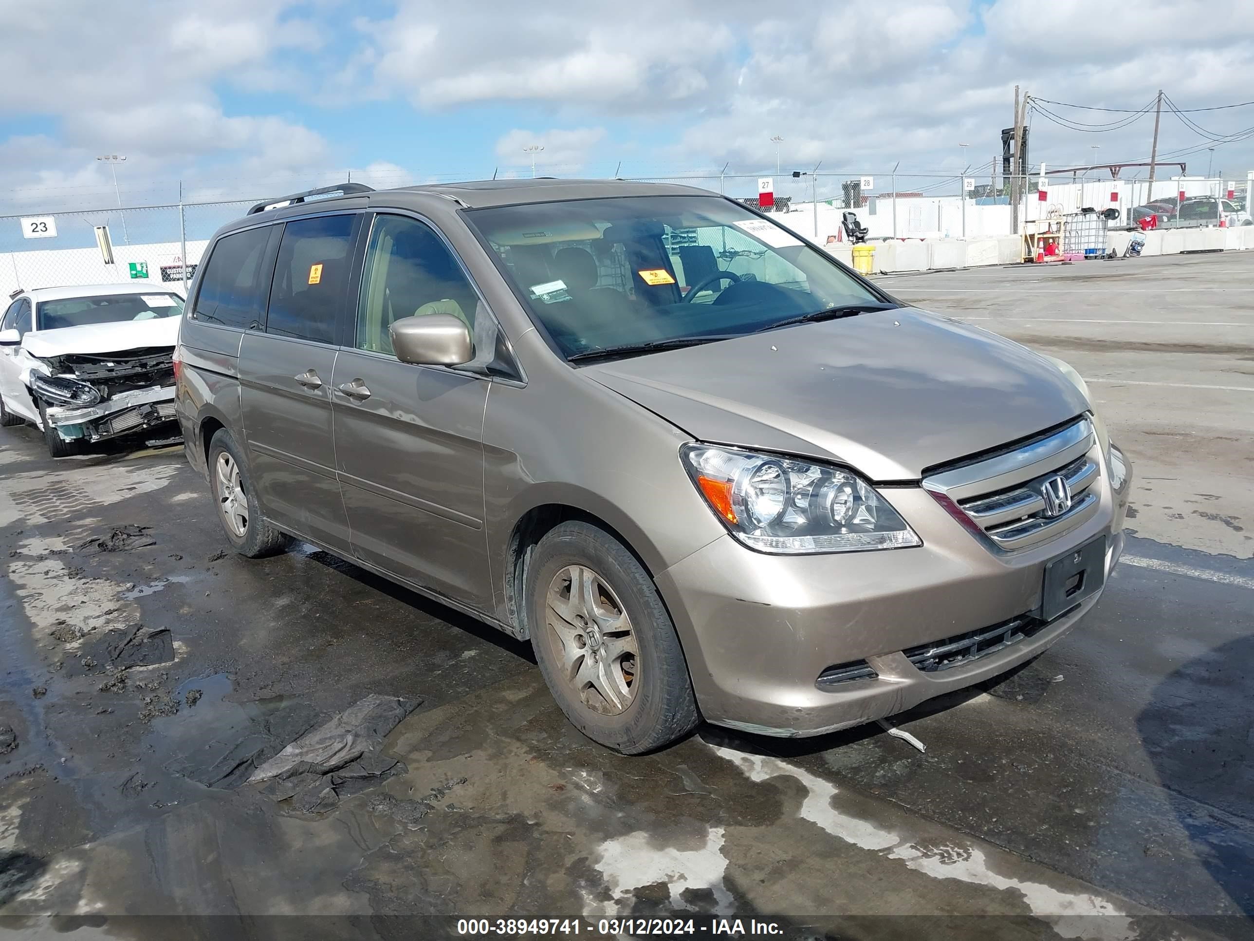 HONDA ODYSSEY 2005 5fnrl38755b096816