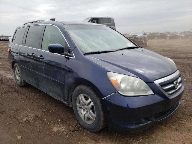 HONDA ODYSSEY EX 2005 5fnrl38755b106941