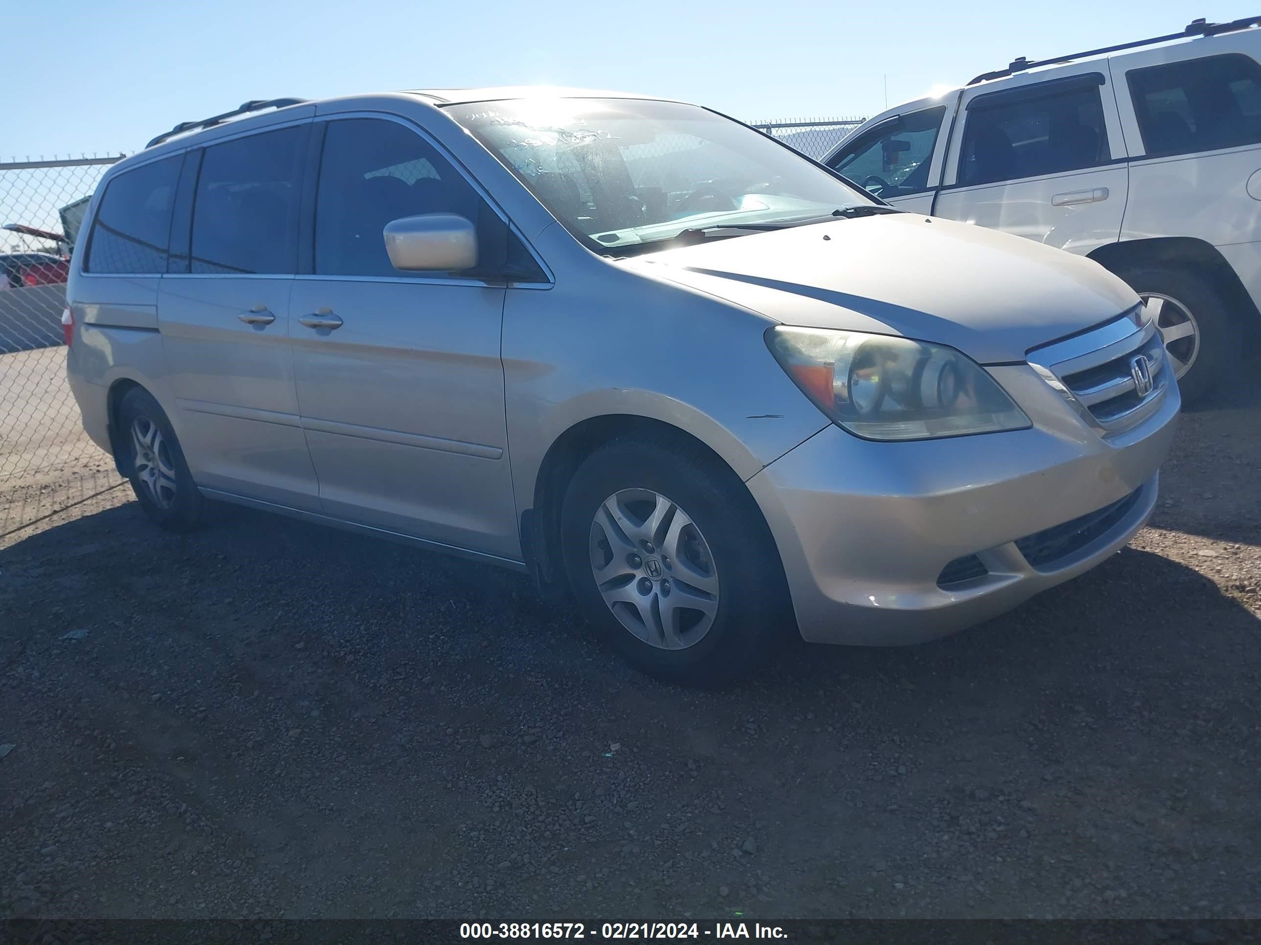 HONDA ODYSSEY 2006 5fnrl38756b050629