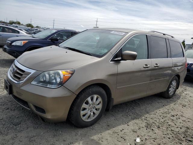 HONDA ODYSSEY EX 2008 5fnrl38758b041500