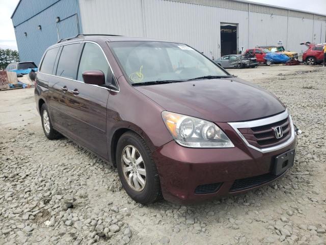 HONDA ODYSSEY EX 2009 5fnrl38759b406520