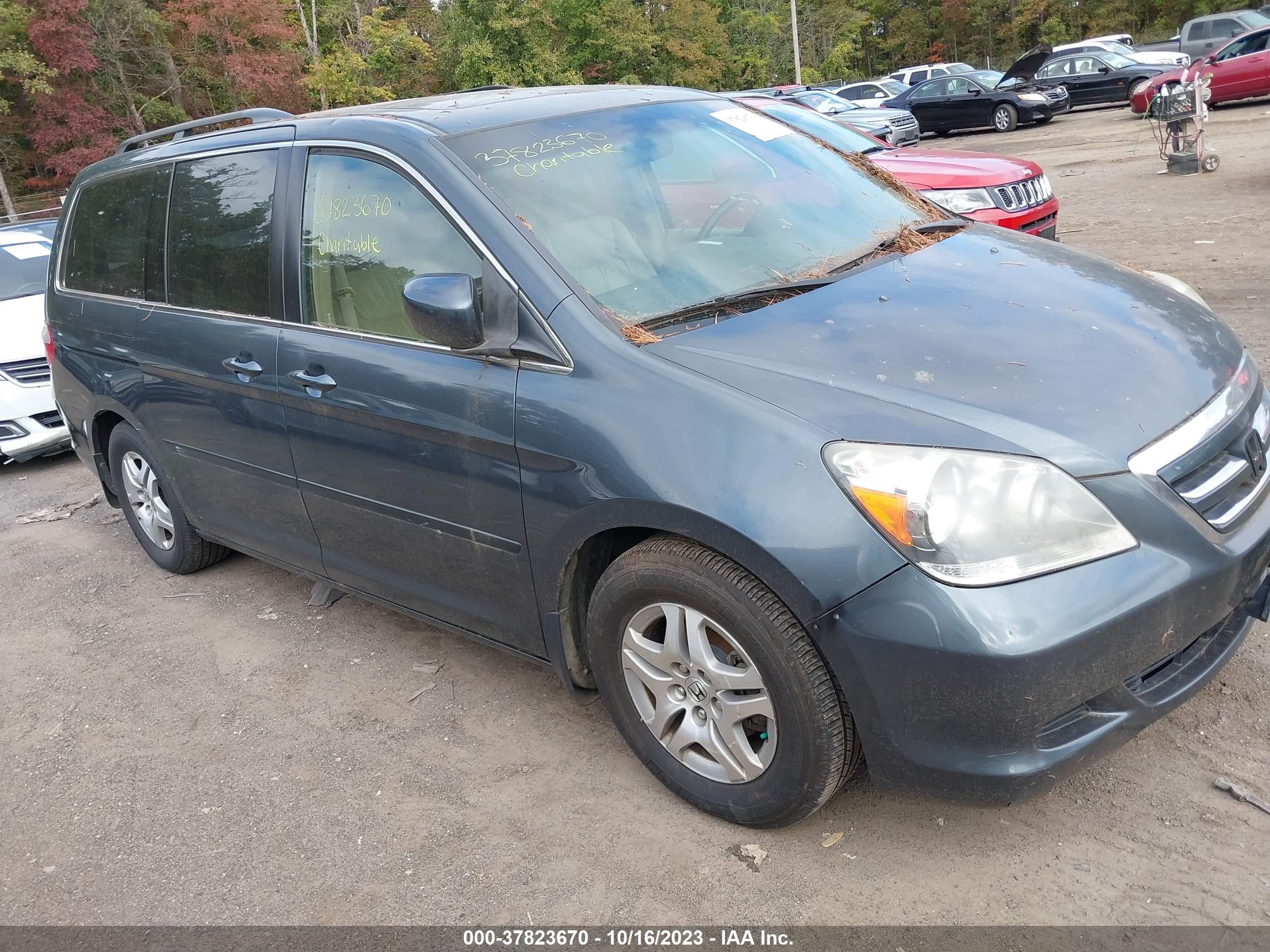 HONDA ODYSSEY 2006 5fnrl38766b425542