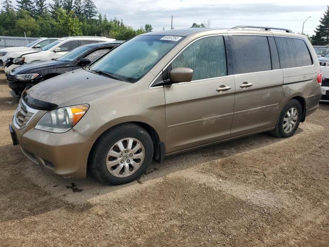 HONDA ODYSSEY EX 2008 5fnrl38768b508424