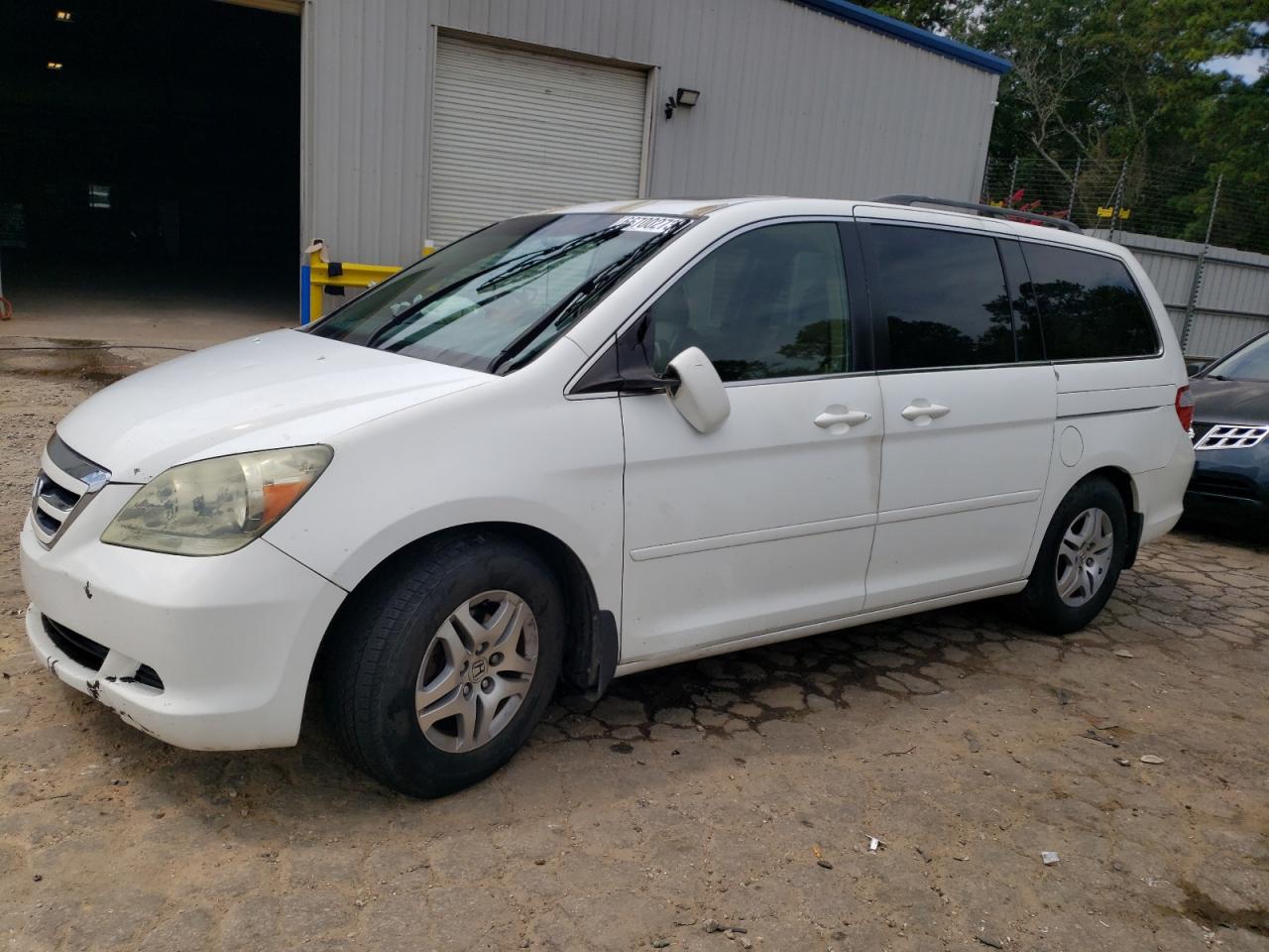 HONDA ODYSSEY 2005 5fnrl38775b101059