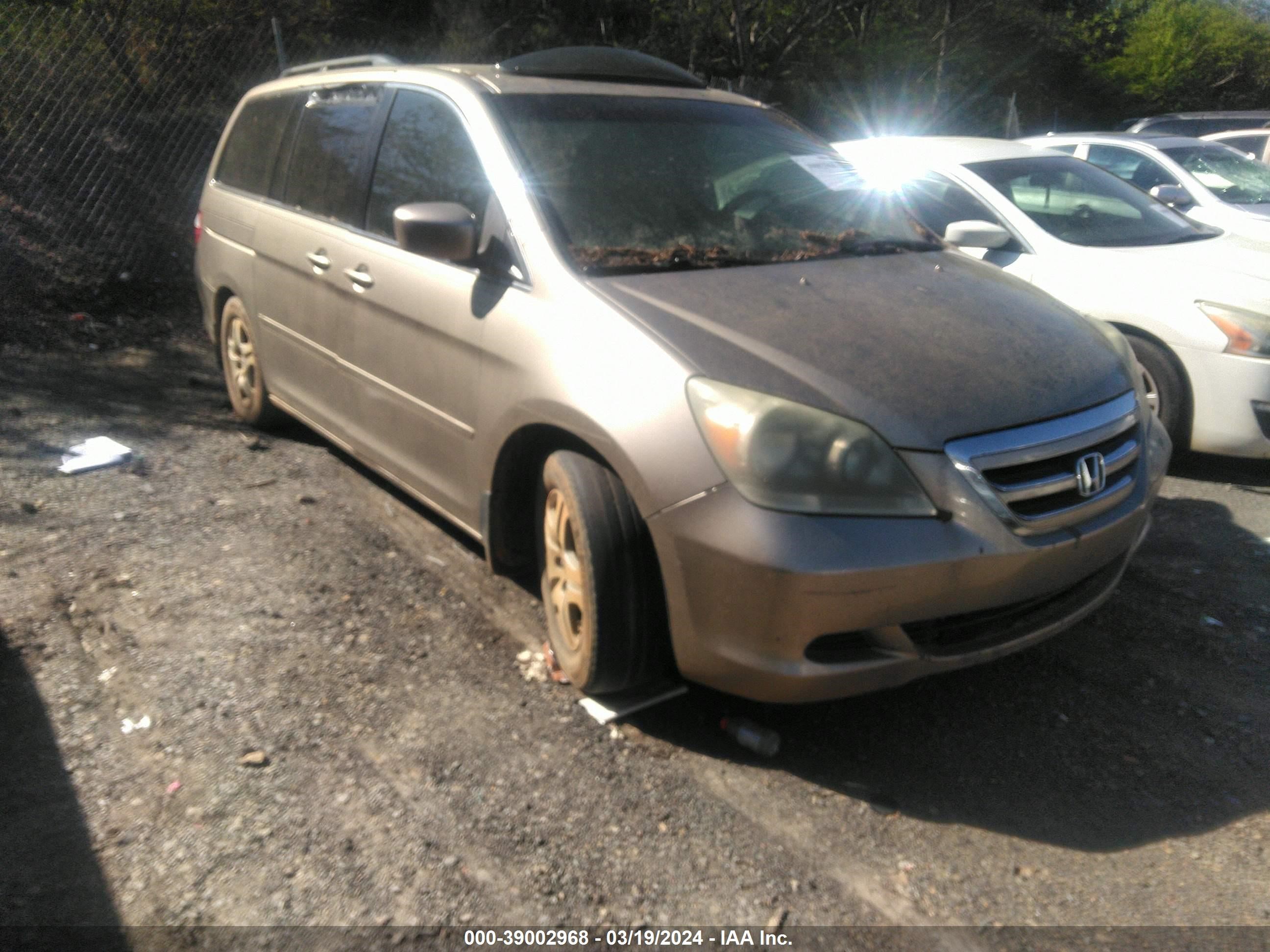 HONDA ODYSSEY 2005 5fnrl38775b119075