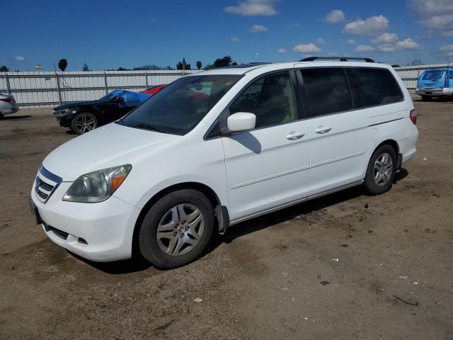 HONDA ODYSSEY EX 2005 5fnrl38775b122333