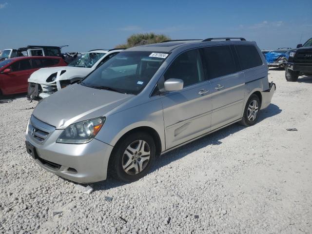 HONDA ODYSSEY EX 2006 5fnrl38776b428658