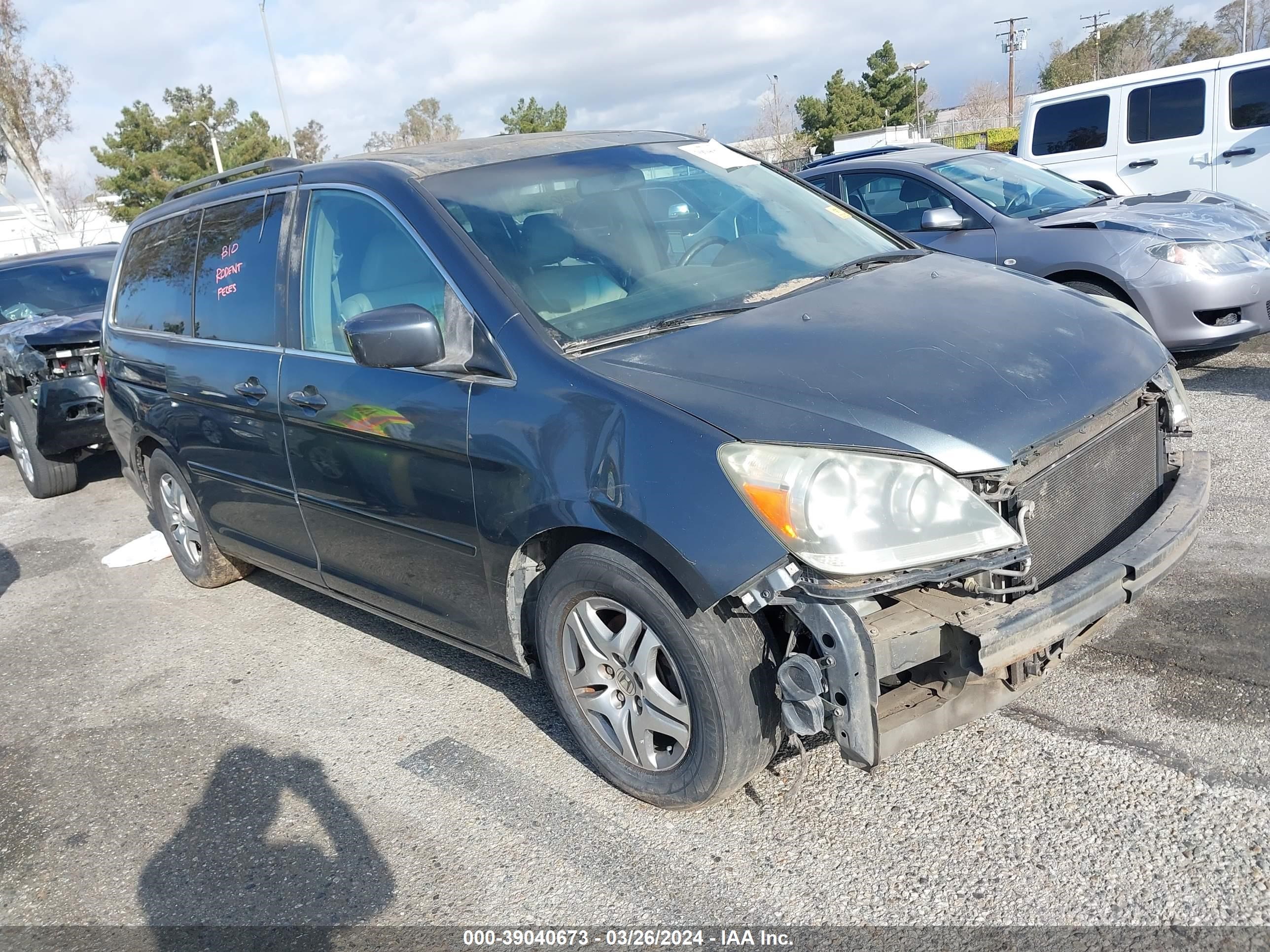 HONDA ODYSSEY 2006 5fnrl38776b443497