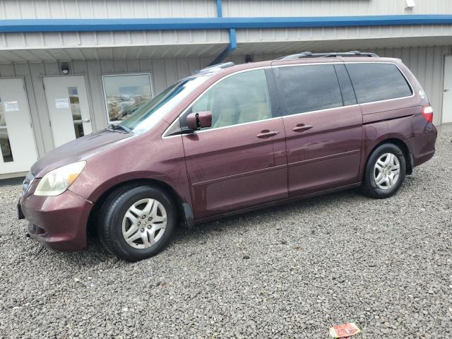 HONDA ODYSSEY EX 2007 5fnrl38777b448670