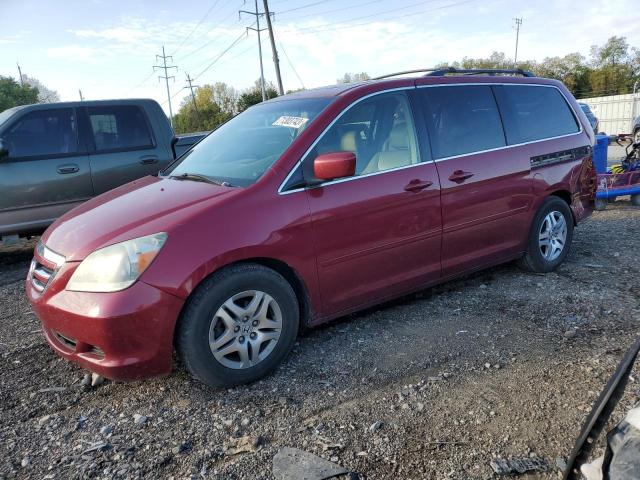 HONDA ODYSSEY EX 2005 5fnrl38785b118596