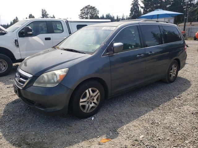 HONDA ODYSSEY EX 2006 5fnrl38786b427230