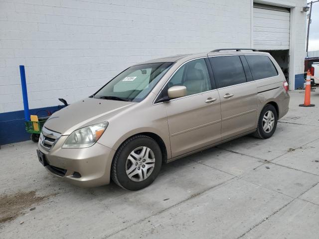 HONDA ODYSSEY EX 2007 5fnrl38787b439704