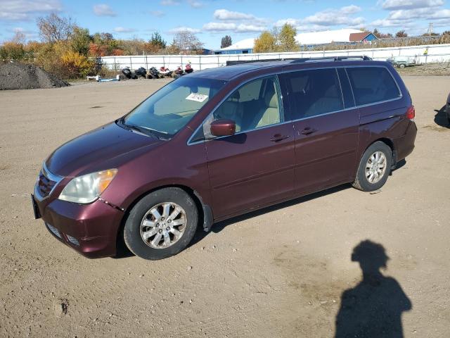 HONDA ODYSSEY EX 2008 5fnrl38788b077262