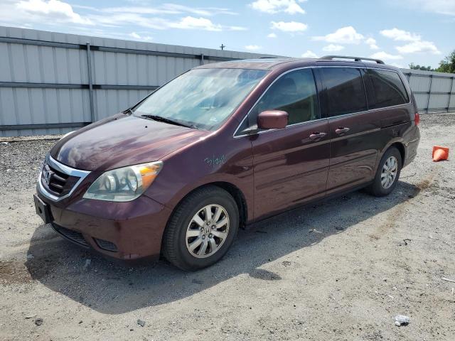 HONDA ODYSSEY EX 2009 5fnrl38799b034647