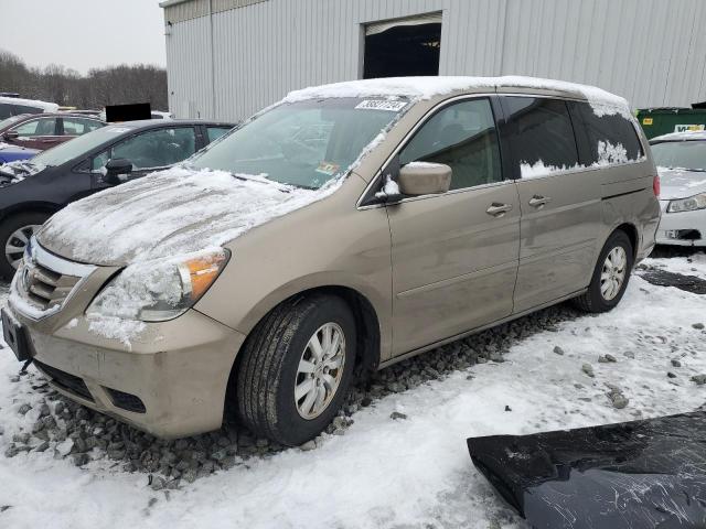 HONDA ODYSSEY EX 2009 5fnrl38799b035216