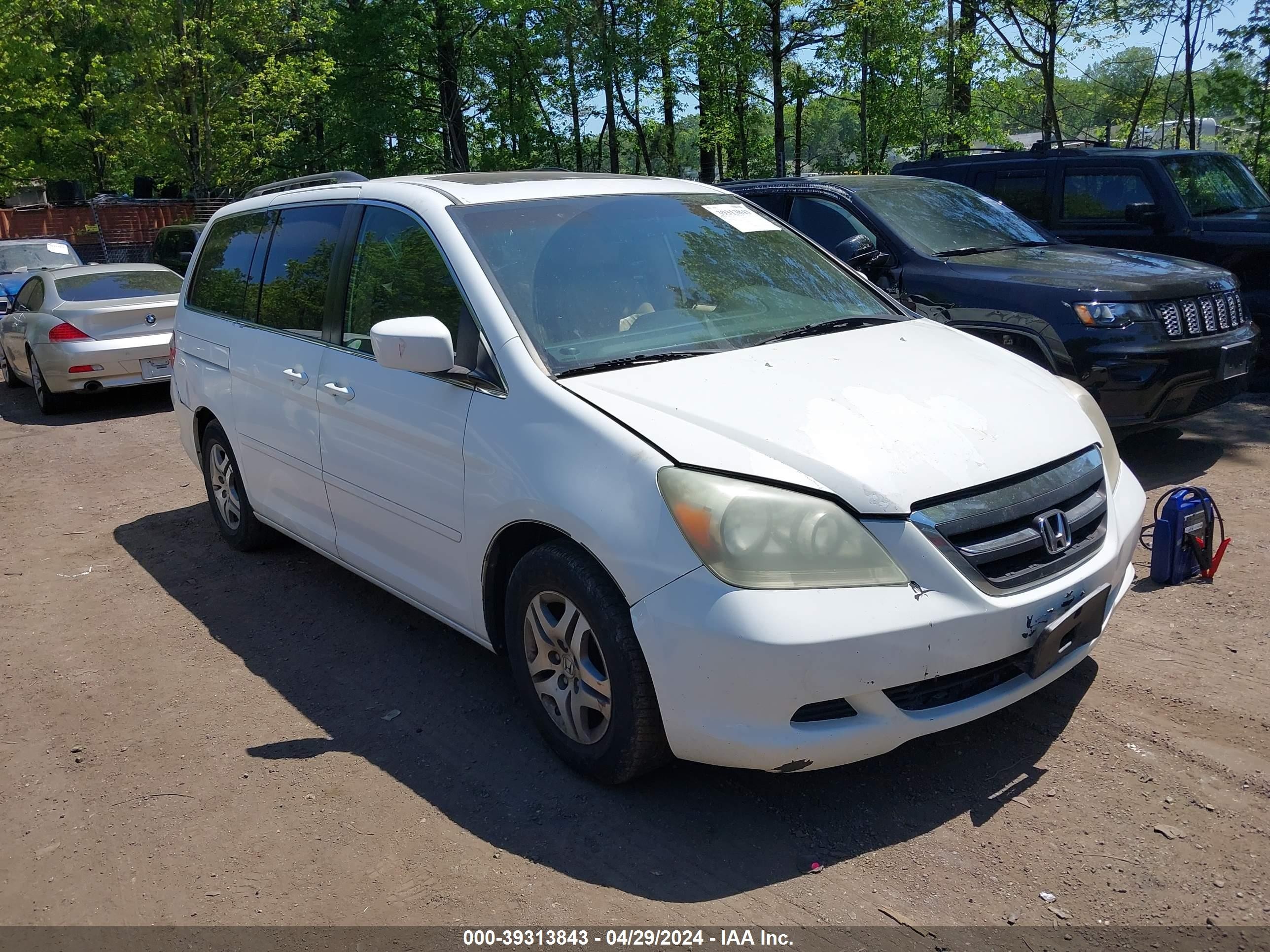 HONDA ODYSSEY 2006 5fnrl387x6b445891