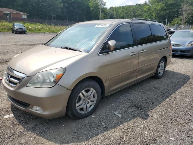 HONDA ODYSSEY TO 2005 5fnrl38805b096117