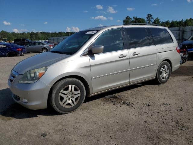 HONDA ODYSSEY 2006 5fnrl38806b033942