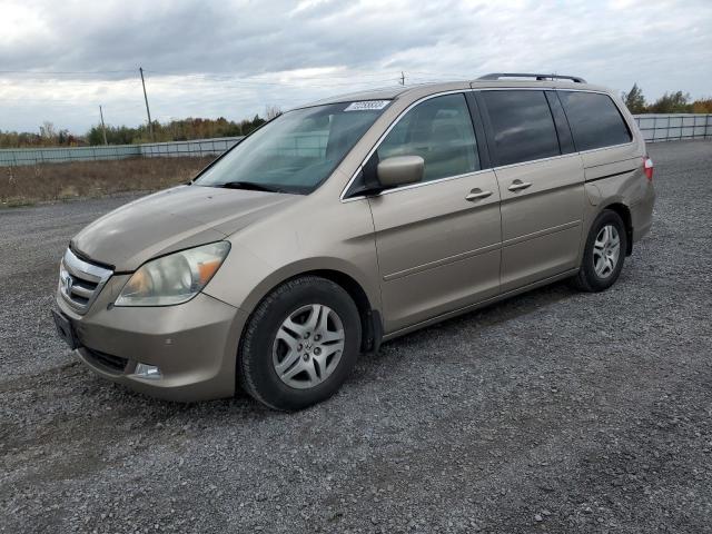 HONDA ODYSSEY 2005 5fnrl38815b500848