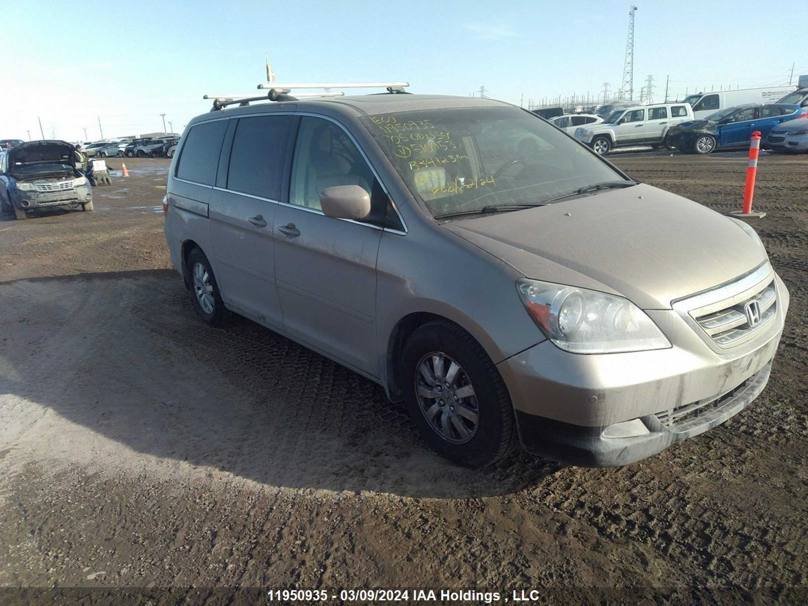 HONDA ODYSSEY 2005 5fnrl38815b510053