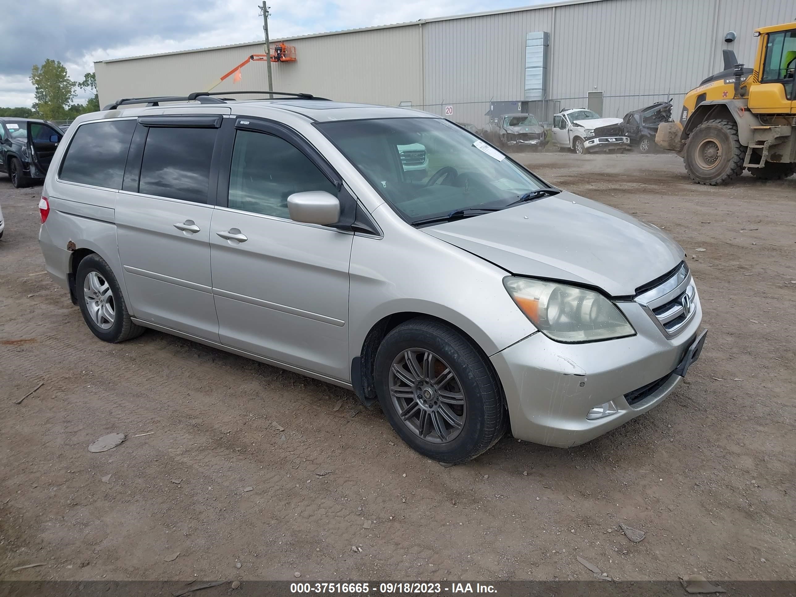 HONDA ODYSSEY 2005 5fnrl38825b042768