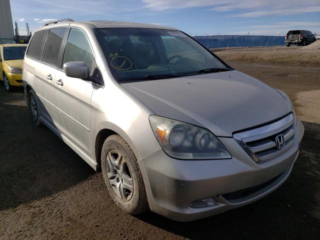 HONDA ODYSSEY TO 2005 5fnrl38825b503497