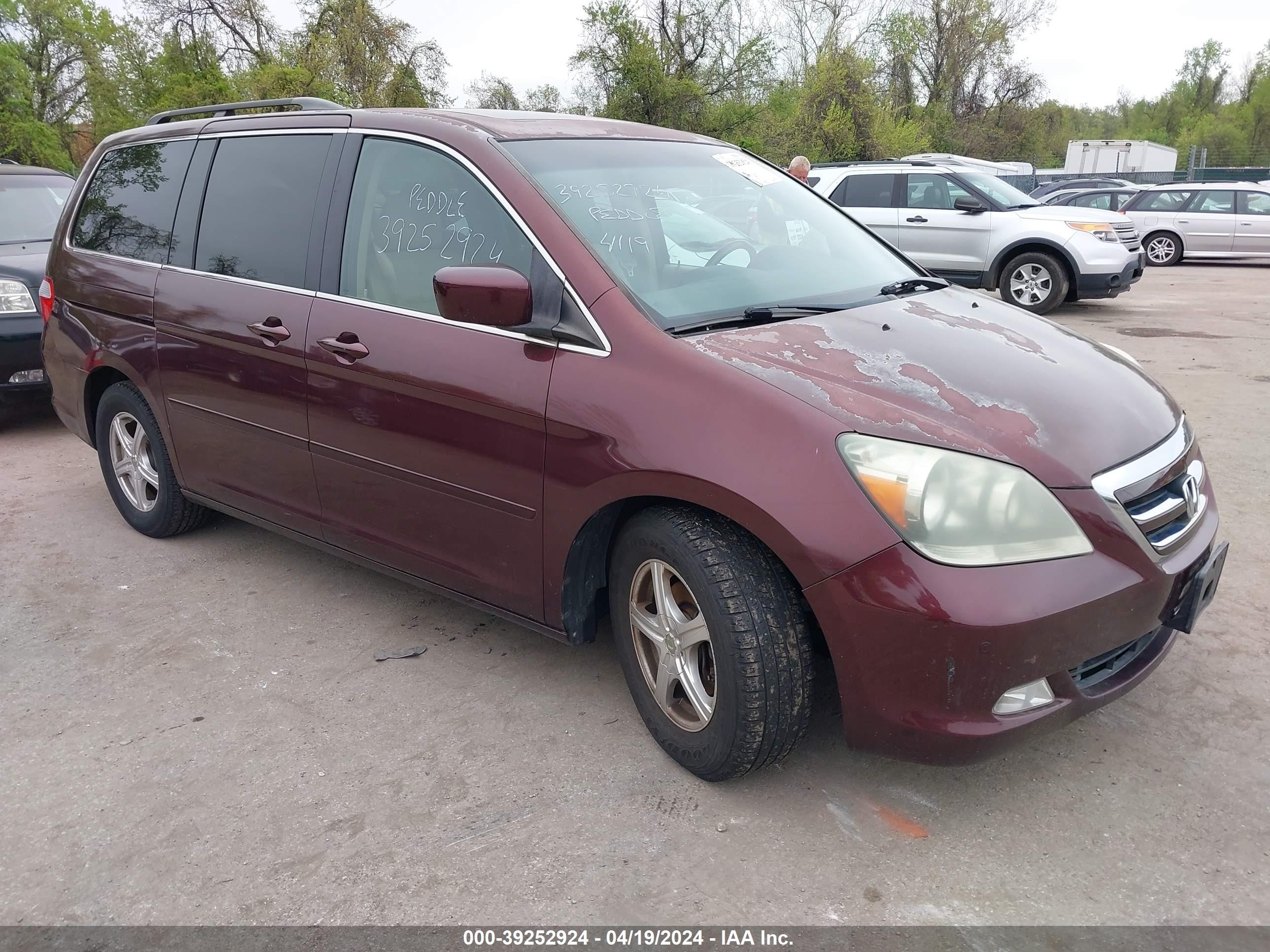 HONDA ODYSSEY 2007 5fnrl38847b100513