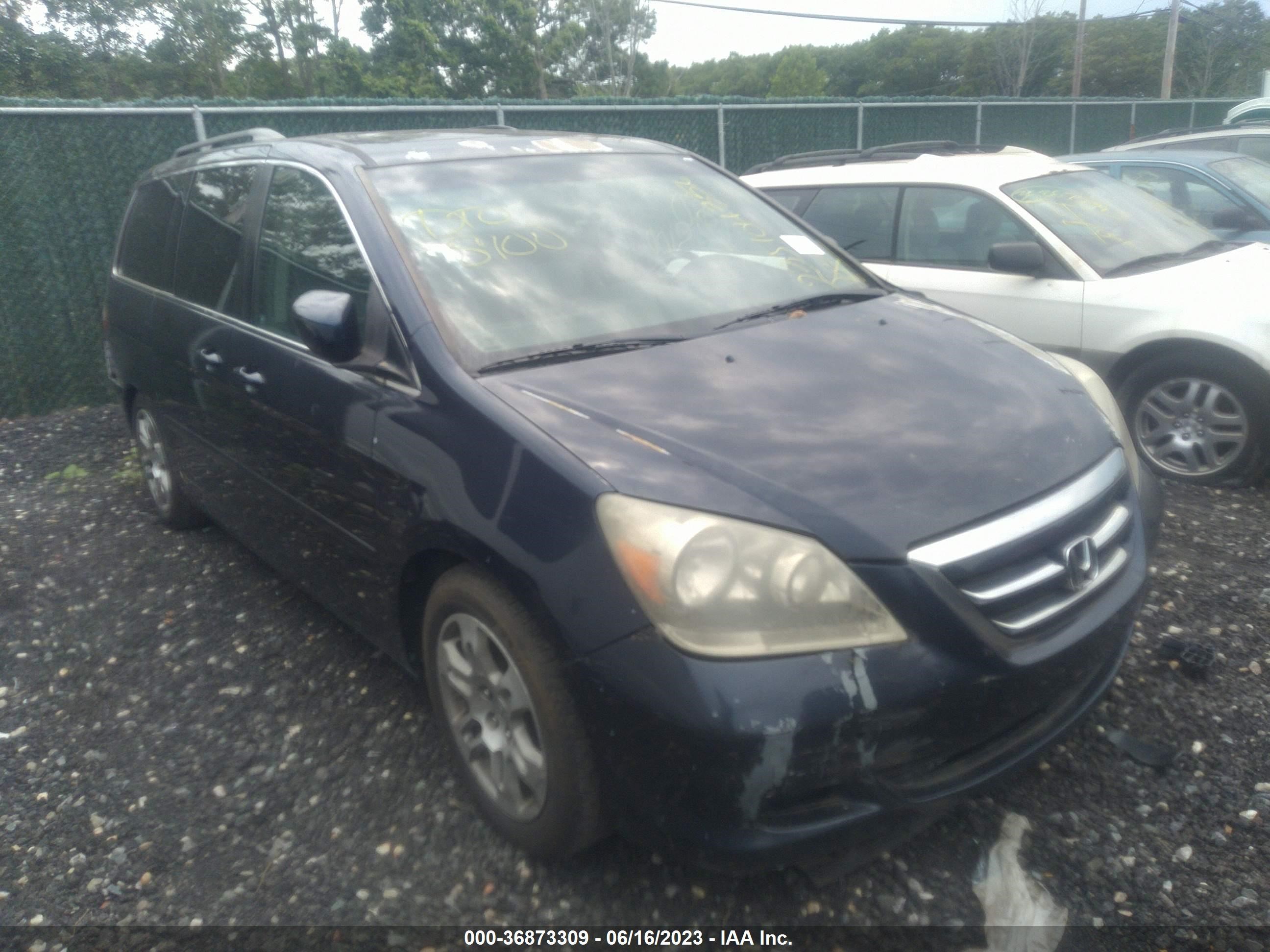 HONDA ODYSSEY 2006 5fnrl38856b010673