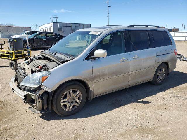 HONDA ODYSSEY 2005 5fnrl38865b057242