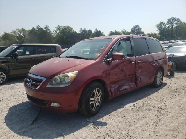 HONDA ODYSSEY TO 2005 5fnrl38865b093271