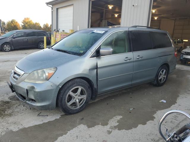 HONDA ODYSSEY TO 2005 5fnrl38865b129184