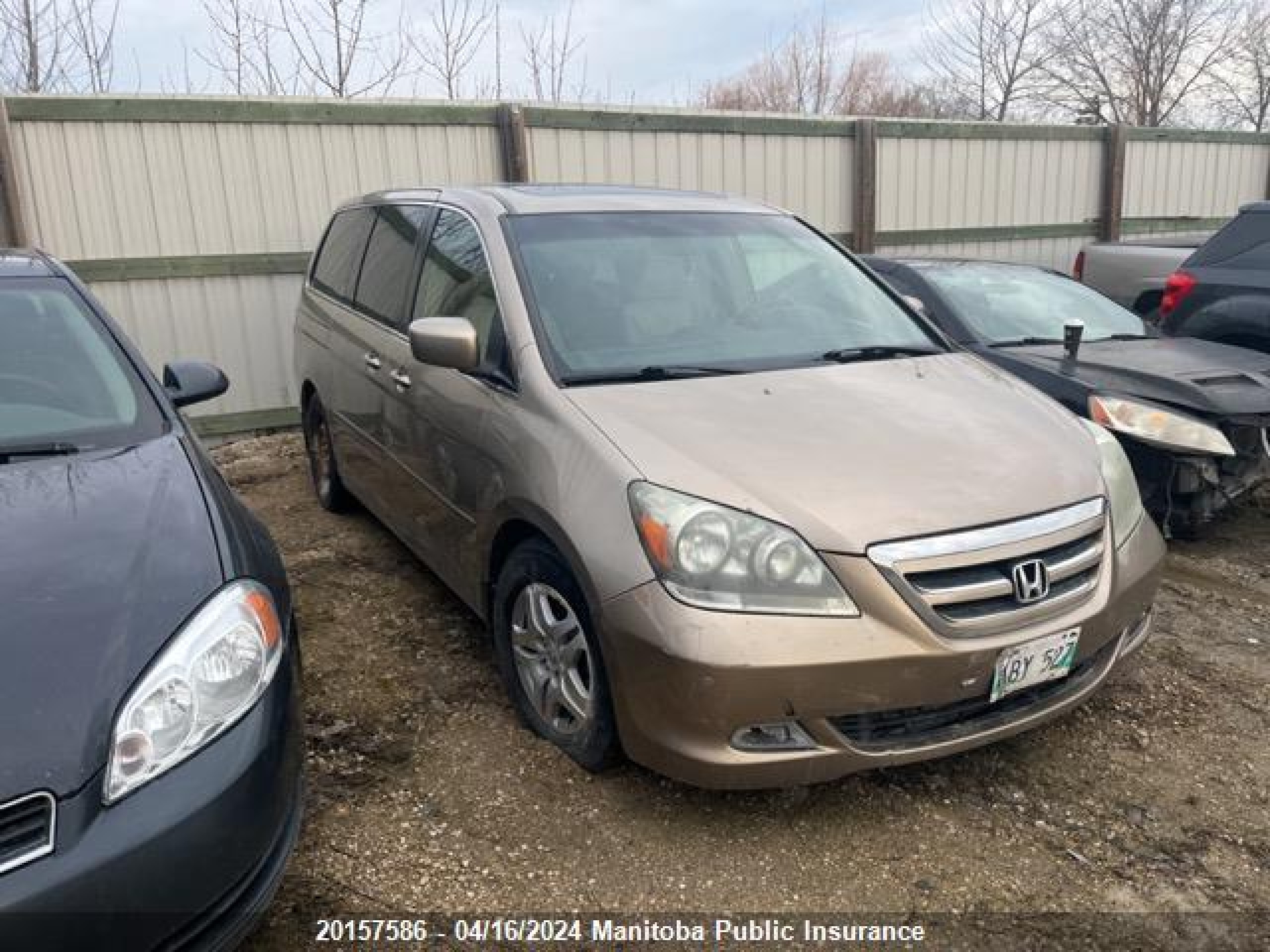 HONDA ODYSSEY 2006 5fnrl38866b512074