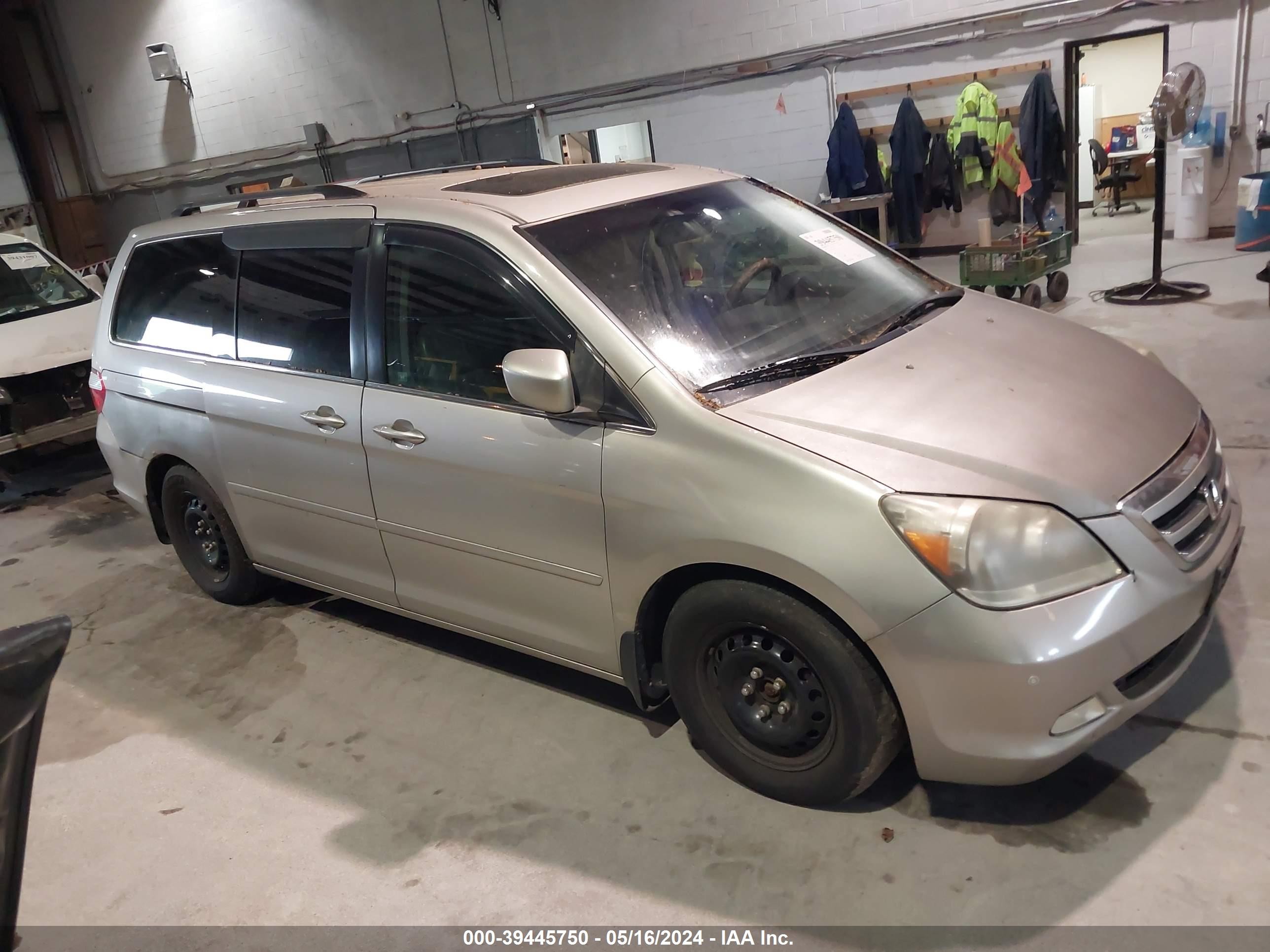 HONDA ODYSSEY 2005 5fnrl38885b064676