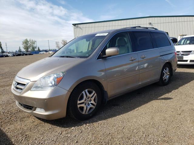 HONDA ODYSSEY TO 2005 5fnrl38885b506839