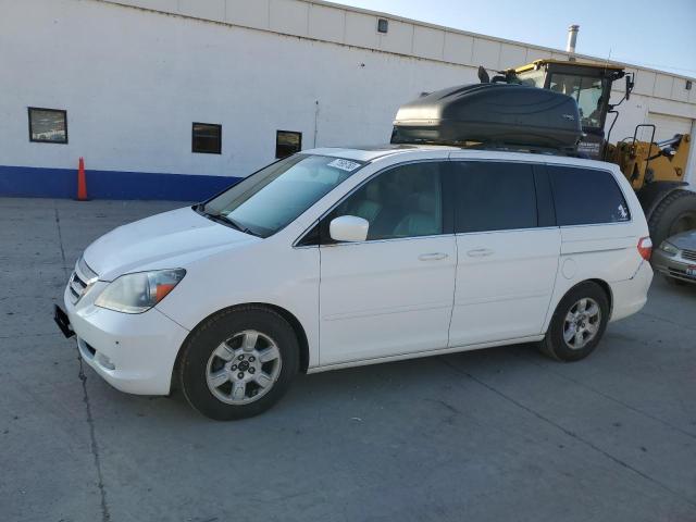 HONDA ODYSSEY 2006 5fnrl38886b108354