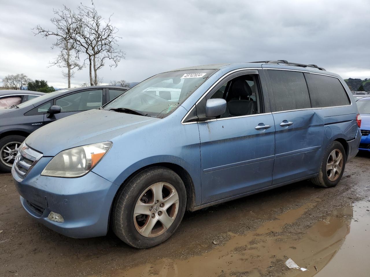 HONDA ODYSSEY 2005 5fnrl38895b070521