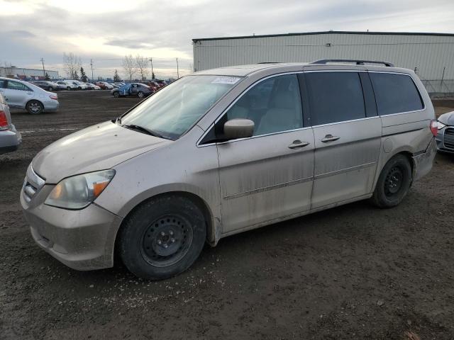 HONDA ODYSSEY 2006 5fnrl38896b505202