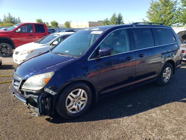 HONDA ODYSSEY 2005 5fnrl388x5b505496