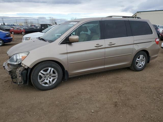 HONDA ODYSSEY TO 2007 5fnrl388x7b509289