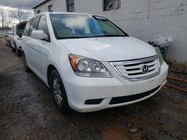 HONDA NULL 2010 5fnrl3h40ab067451