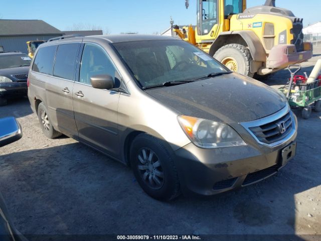 HONDA ODYSSEY 2010 5fnrl3h42ab005761