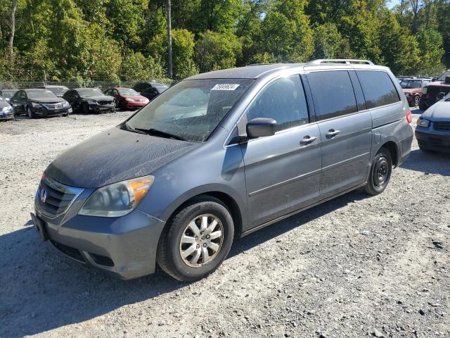 HONDA ODYSSEY EX 2010 5fnrl3h43ab094367