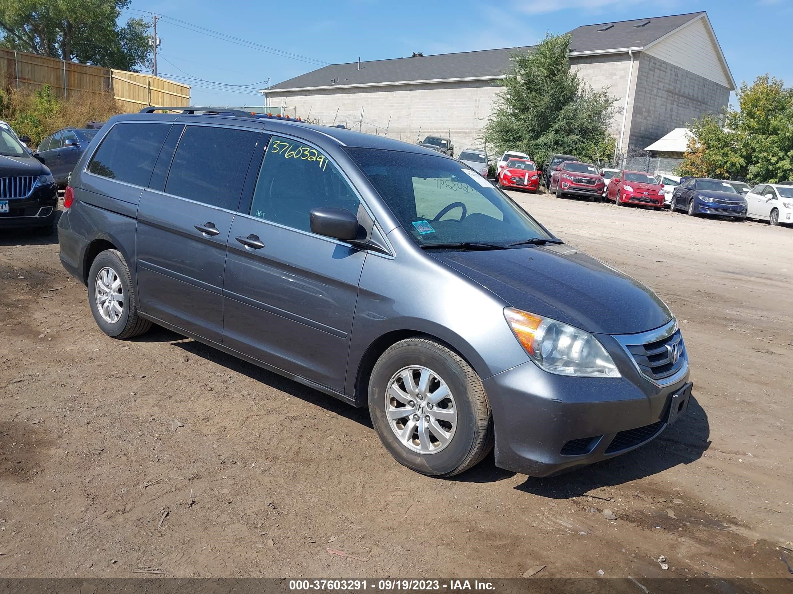 HONDA ODYSSEY 2010 5fnrl3h48ab036657