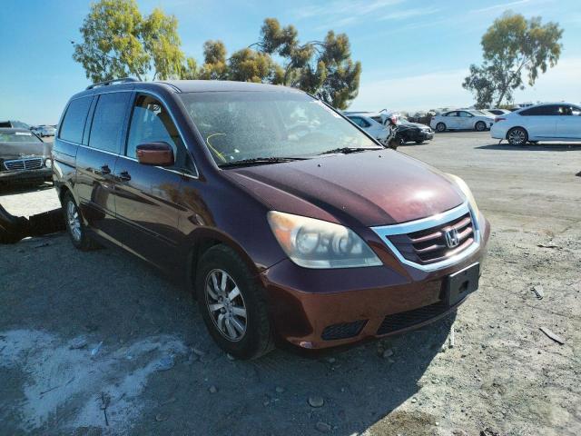 HONDA ODYSSEY EX 2010 5fnrl3h48ab103368