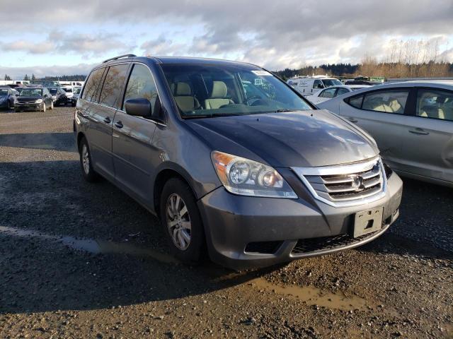 HONDA ODYSSEY EX 2010 5fnrl3h4xab016703