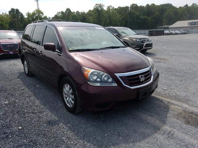 HONDA ODYSSEY EX 2010 5fnrl3h54ab080468