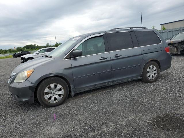 HONDA ODYSSEY EX 2010 5fnrl3h56ab503616