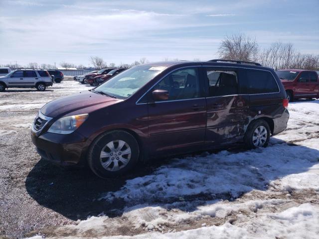 HONDA ODYSSEY EX 2010 5fnrl3h57ab507979