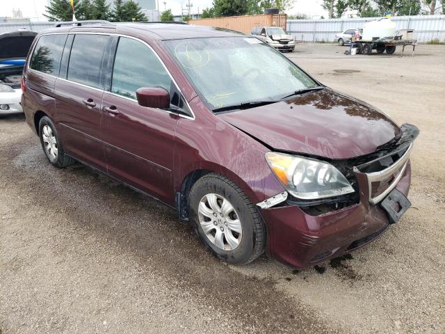 HONDA ODYSSEY EX 2010 5fnrl3h58ab505867